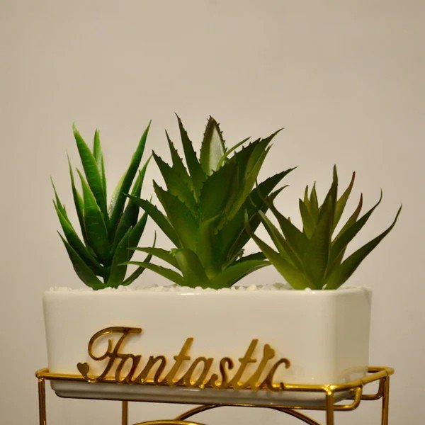 Fantastic Succulent Trio in Golden Stand - Image 2