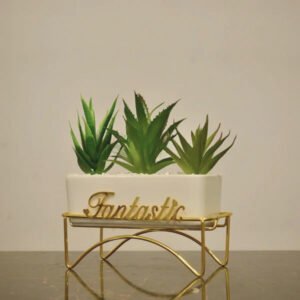 Fantastic Succulent Trio in Golden Stand