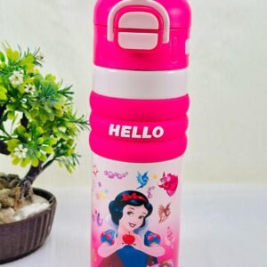 Cute Kids Water Bottle | BPA-Free Leak Proof Cartoon Bottle with Sleeping Beauty Print